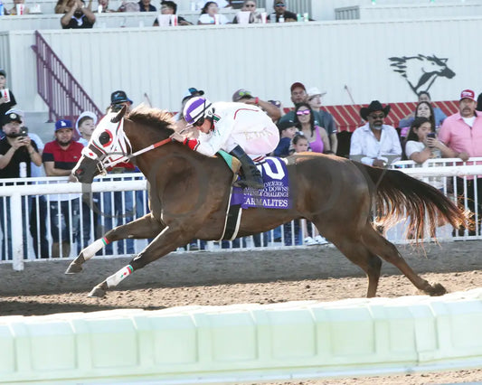 Karmalites - Aqha John Deere Juvenile Challenge Finals 08-18-24 R10 The Downs At Albuquerqu Inside