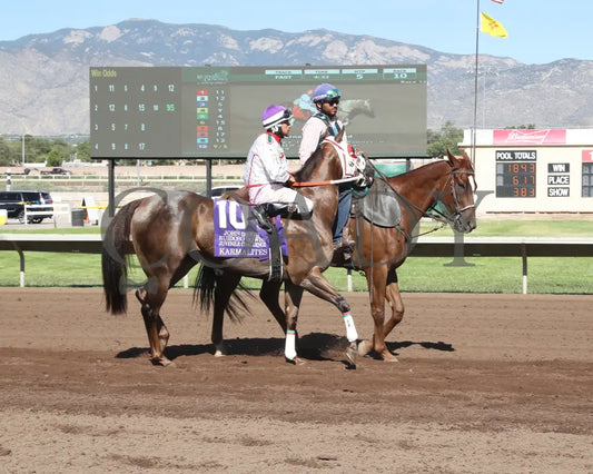 Karmalites - Aqha John Deere Juvenile Challenge Finals 08-18-24 R10 The Downs At Albuquerque Post