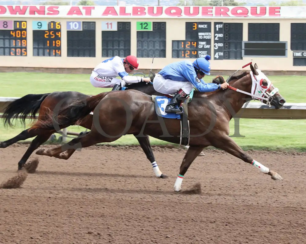 Karmalites - Aqha John Deere Quarter Horse Juvenile Trials 07-26-24 R03 The Downs At Albuquerque