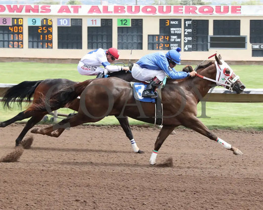 Karmalites - Aqha John Deere Quarter Horse Juvenile Trials 07-26-24 R03 The Downs At Albuquerque