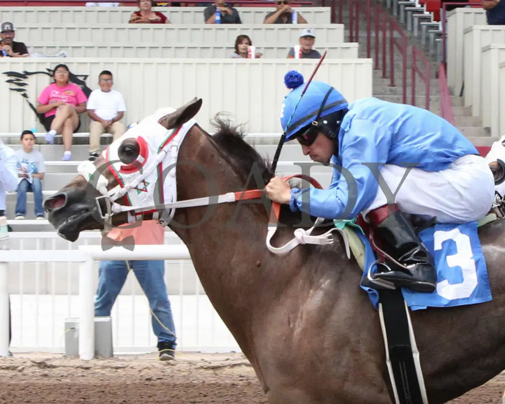 Karmalites - Aqha John Deere Quarter Horse Juvenile Trials 07-26-24 R03 The Downs At Albuquerque