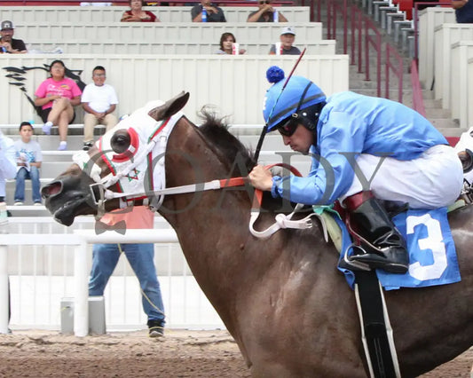 Karmalites - Aqha John Deere Quarter Horse Juvenile Trials 07-26-24 R03 The Downs At Albuquerque