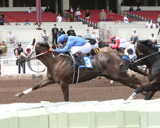 Karmalites - Aqha John Deere Quarter Horse Juvenile Trials 07-26-24 R03 The Downs At Albuquerque