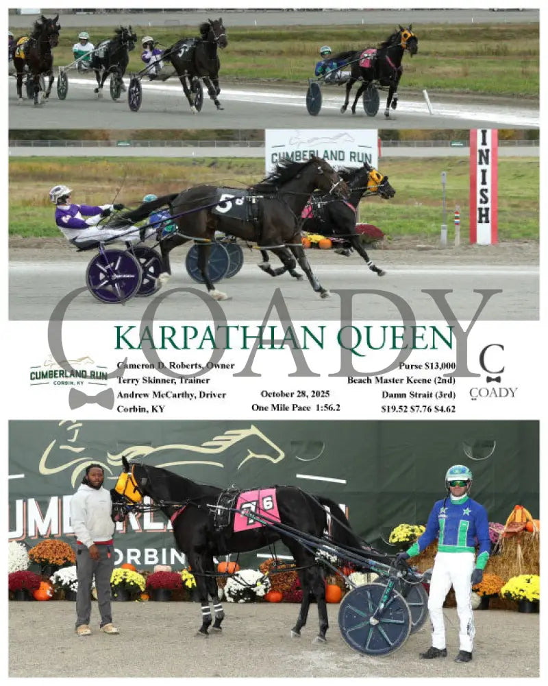 KARPATHIAN QUEEN - 102825 - Race 06 - CMR Presque Isle Downs