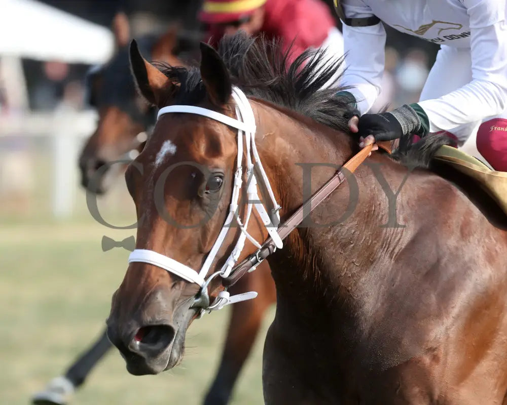 Kathynmarissa - The Pepsi Dueling Grounds Oaks Invitational 09-11-24 R09 Kd Inside Finish 02