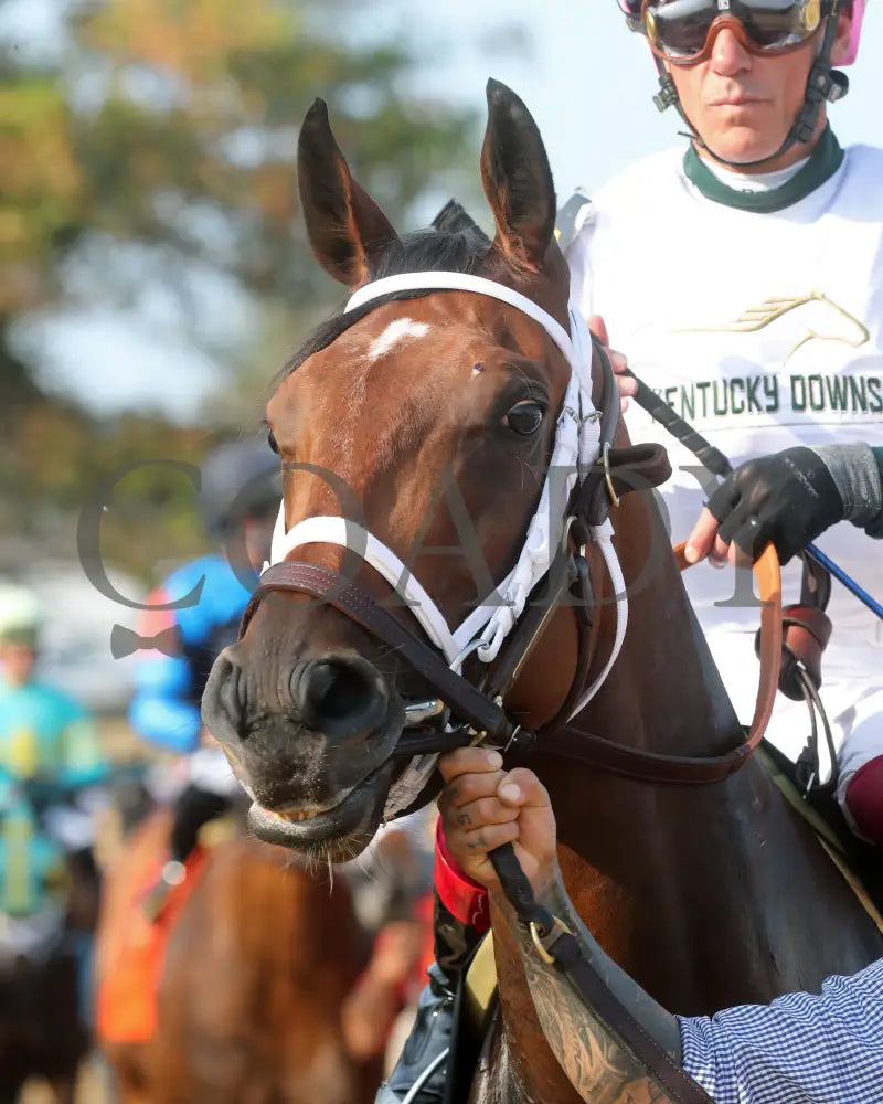 Kathynmarissa - The Pepsi Dueling Grounds Oaks Invitational 09-11-24 R09 Kd Paddock 02 Kentucky