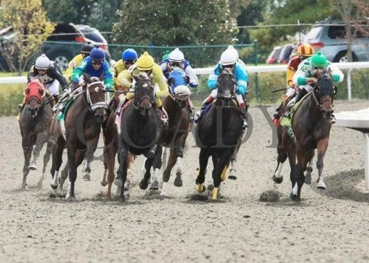 Katy Lied - 1 100911 Race 01 Keeneland