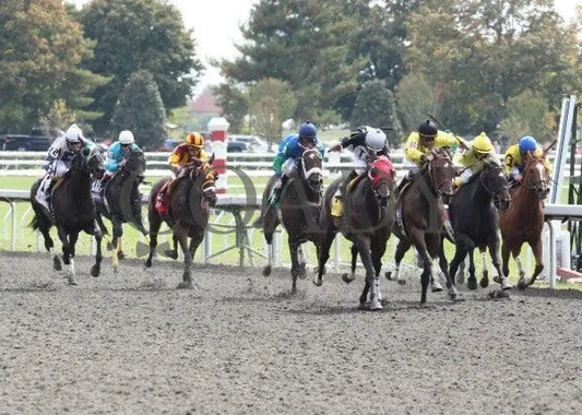 Katy Lied - 4 100911 Race 01 Keeneland