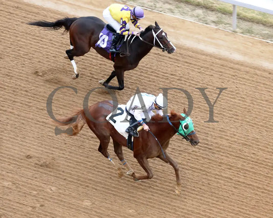 Kavod - The Advent 1St Running 12-03-21 R08 Op Aerial Finish 01 Oaklawn Park