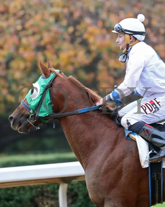 Kavod - The Advent 1St Running 12-03-21 R08 Op Come Back 02 Oaklawn Park