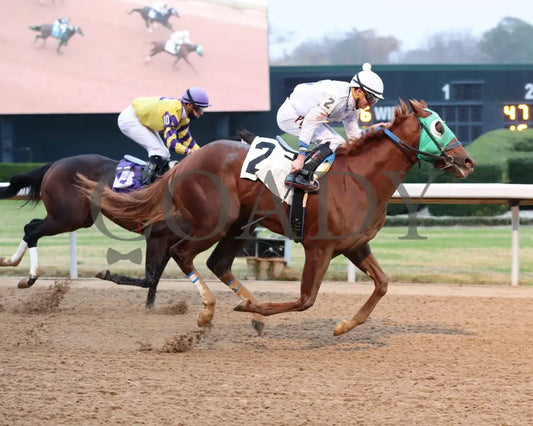 Kavod - The Advent 1St Running 12-03-21 R08 Op Finish 01 Oaklawn Park