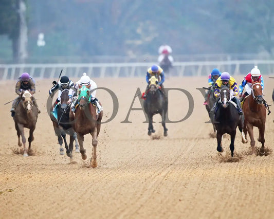Kavod - The Advent 1St Running 12-03-21 R08 Op Head On 01 Oaklawn Park