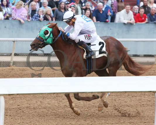 Kavod - The Advent 1St Running 12-03-21 R08 Op Inside Finish 01 Oaklawn Park