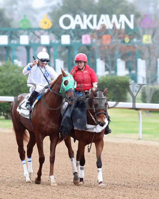 Kavod - The Advent 1St Running 12-03-21 R08 Op Post Parade 01 Oaklawn Park