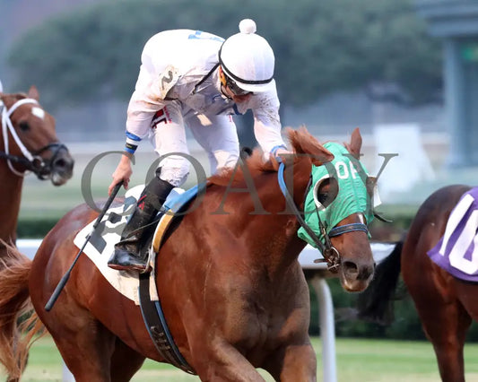 Kavod - The Advent 1St Running 12-03-21 R08 Op Tight Finish 01 Oaklawn Park