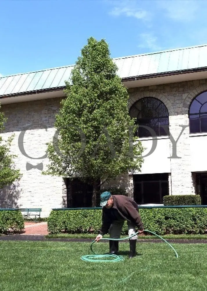 Kee-Scenics-040512-003 Keeneland