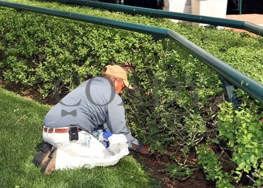 Kee-Scenics-040512-004 Keeneland