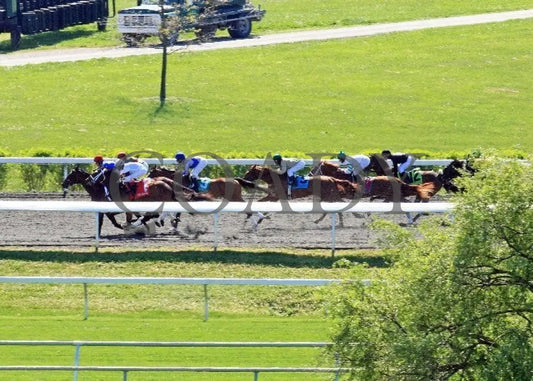 Kee-Scenics-040612-002 Keeneland