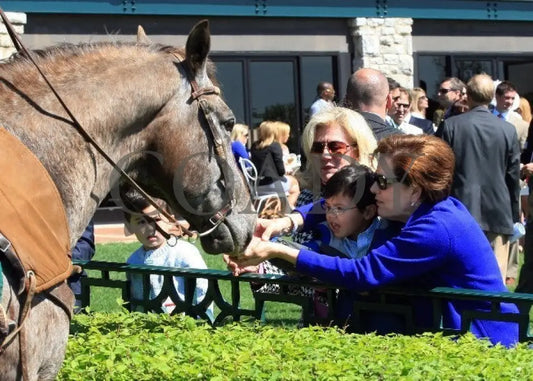 Kee-Scenics-040612-005 Keeneland