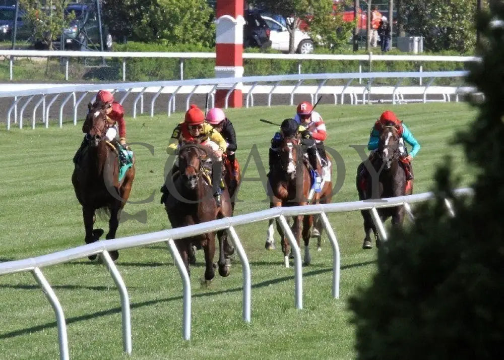 Kee-Scenics-040612-013 Keeneland