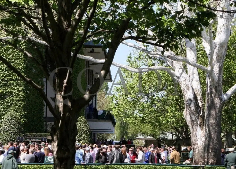 Kee-Scenics-040612-017 Keeneland