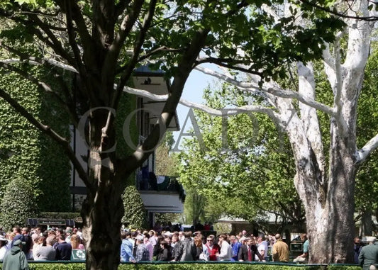 Kee-Scenics-040612-017 Keeneland