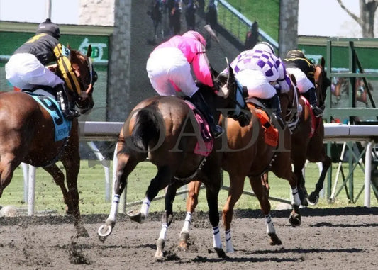 Kee-Scenics-040712-005 Keeneland