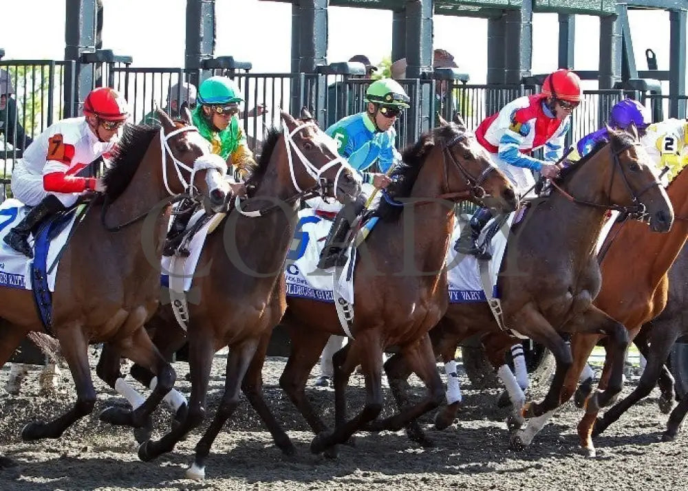 Kee-Scenics-040712-013 Keeneland
