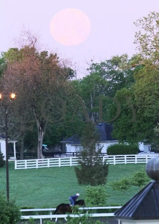 Kee-Scenics-040712-018 Keeneland