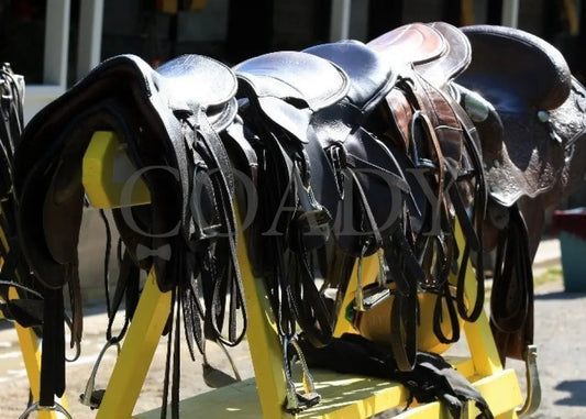 Kee-Scenics-041212-003 Keeneland