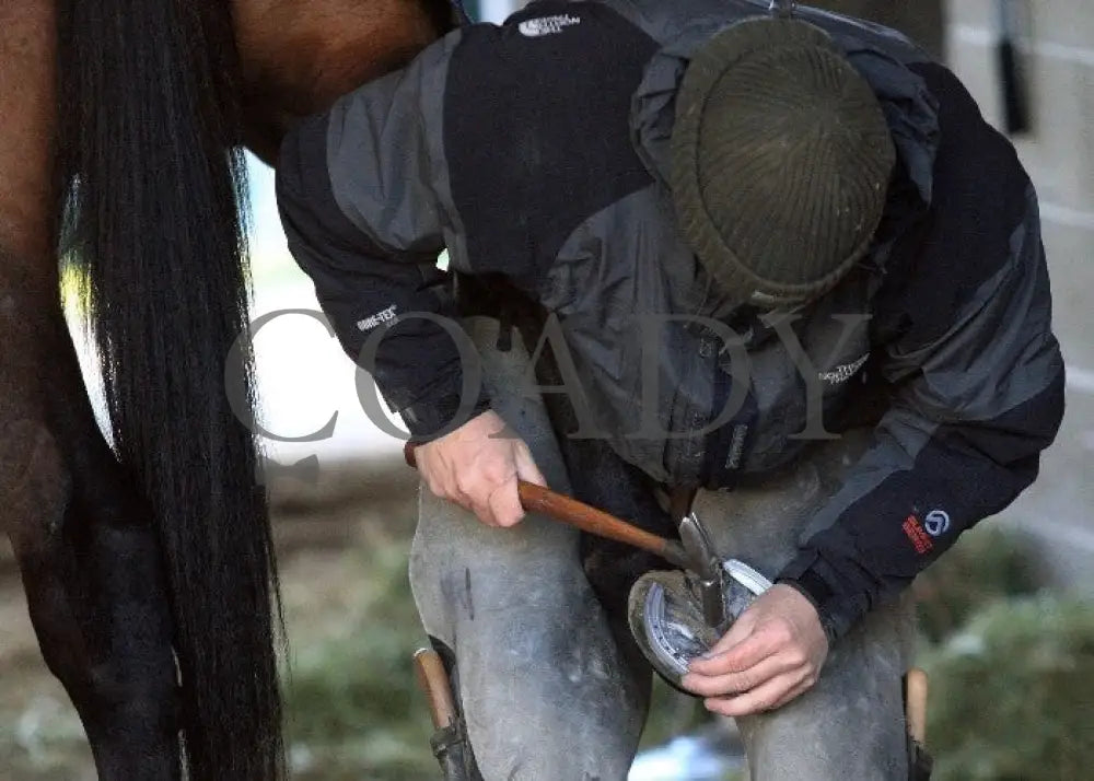 Kee-Scenics-041212-004 Keeneland