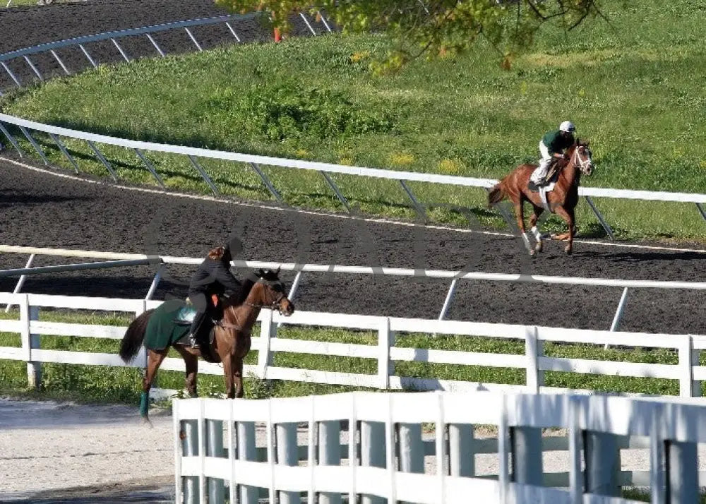 Kee-Scenics-041212-006 Keeneland