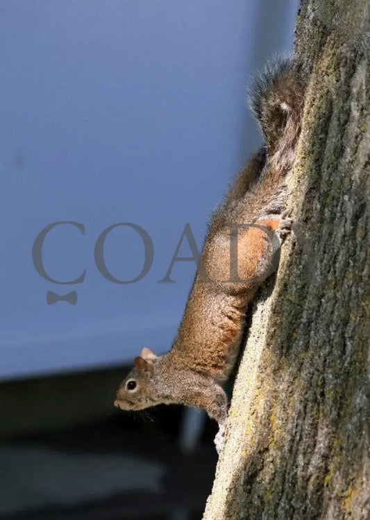 Kee-Scenics-041212-007 Keeneland