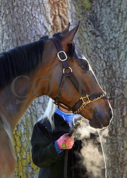 Kee-Scenics-041212-008 Keeneland