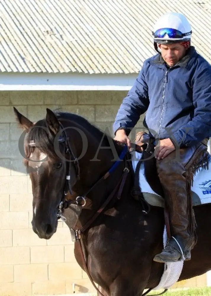 Kee-Scenics-041212-009 Keeneland