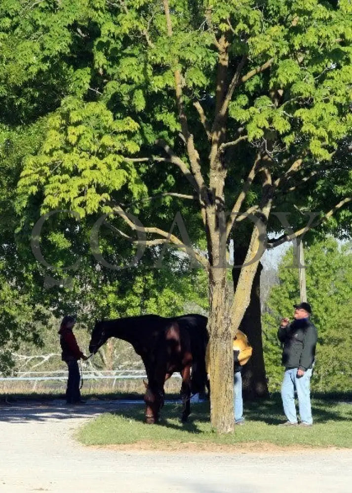 Kee-Scenics-041212-010 Keeneland