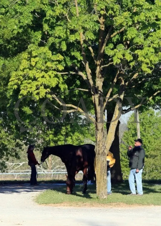 Kee-Scenics-041212-010 Keeneland