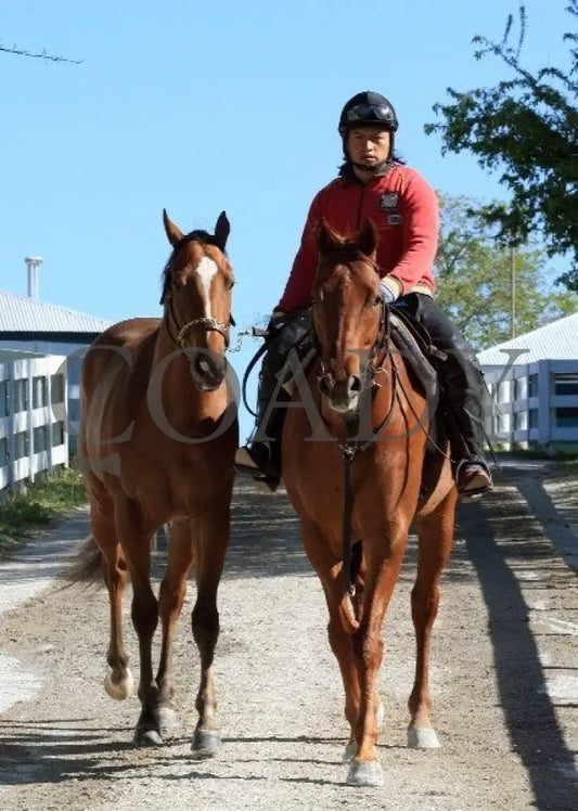 Kee-Scenics-041212-012 Keeneland