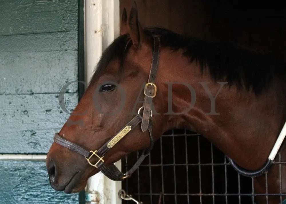 Kee-Scenics-041212-013 Keeneland