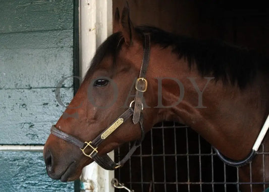 Kee-Scenics-041212-013 Keeneland