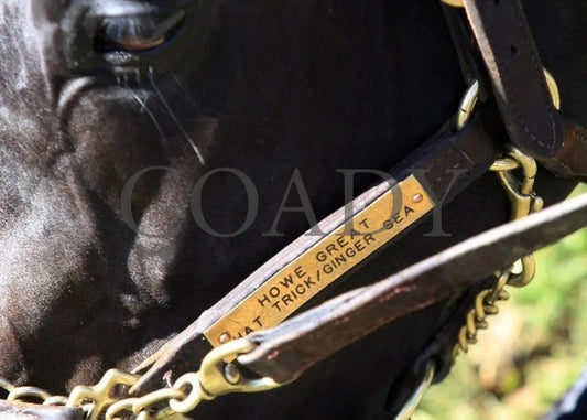 Kee-Scenics-041212-016 Keeneland