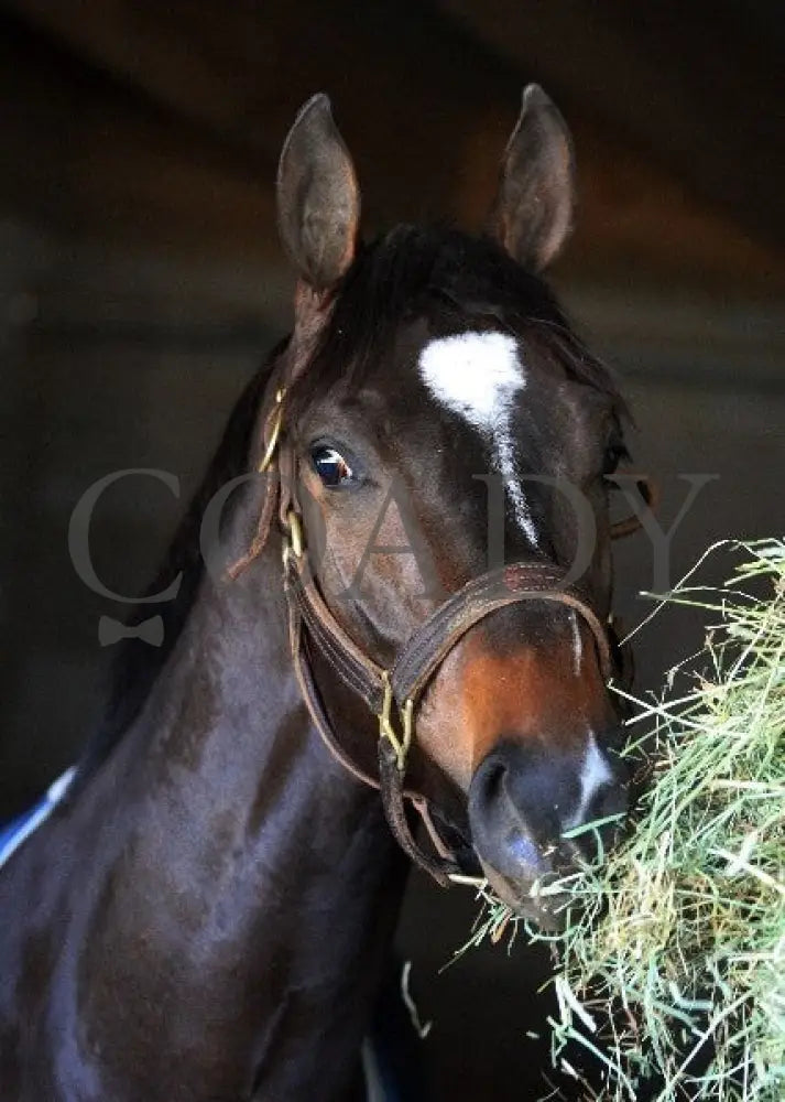 Kee-Scenics-041212-017 Keeneland