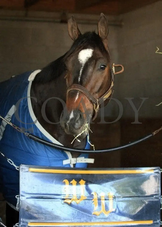 Kee-Scenics-041212-018 Keeneland