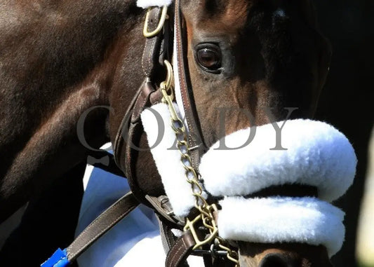 Kee-Scenics-041312-002 Keeneland