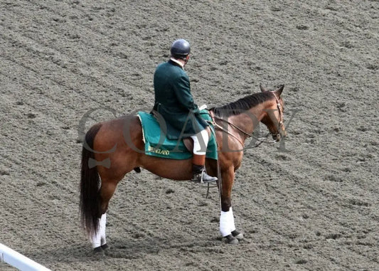 Kee-Scenics-041412-001 Keeneland