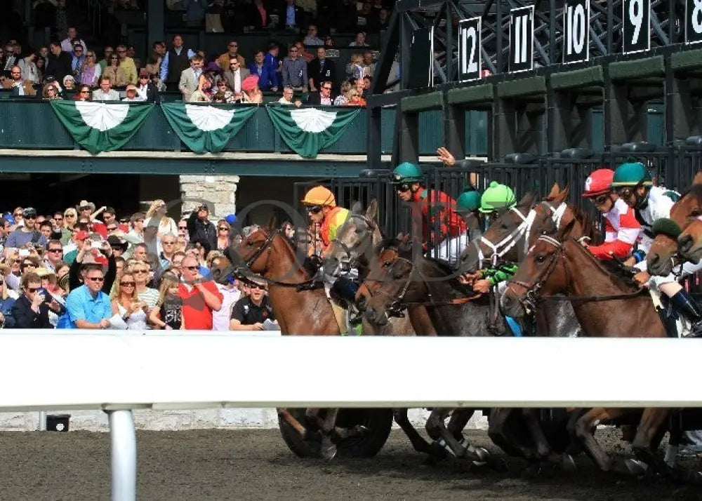 Kee-Scenics-041412-014 Keeneland