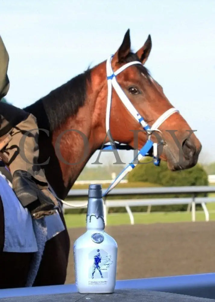 Kee-Scenics-041412-020 Keeneland