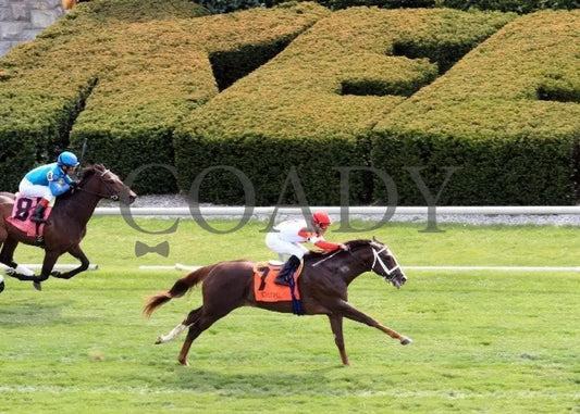 Kee-Scenics-041412-021 Keeneland