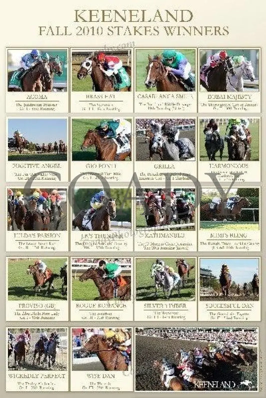 Keeneland Fall 2010 Stakes Winners - 24X36 Poster