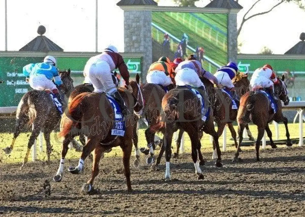 Keeneland - Fall 2011 Scenics 001
